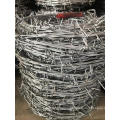 Barbed wire mesh Galvanized